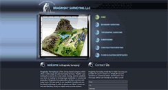 Desktop Screenshot of braginskysurvey.com